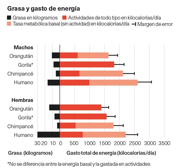 grasa vs energía